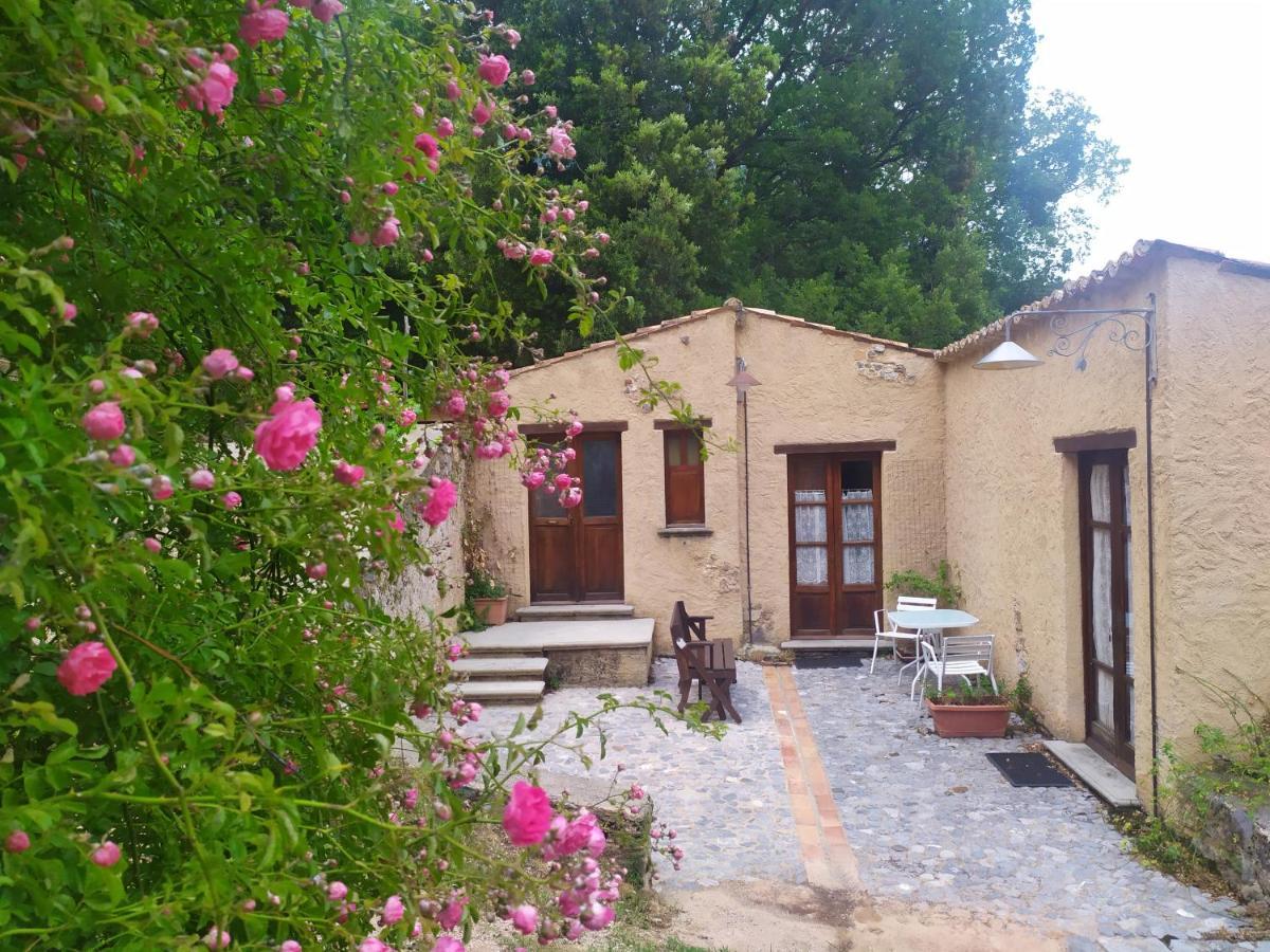Agriturismo Colloreto モラーノ・カーラブロ エクステリア 写真